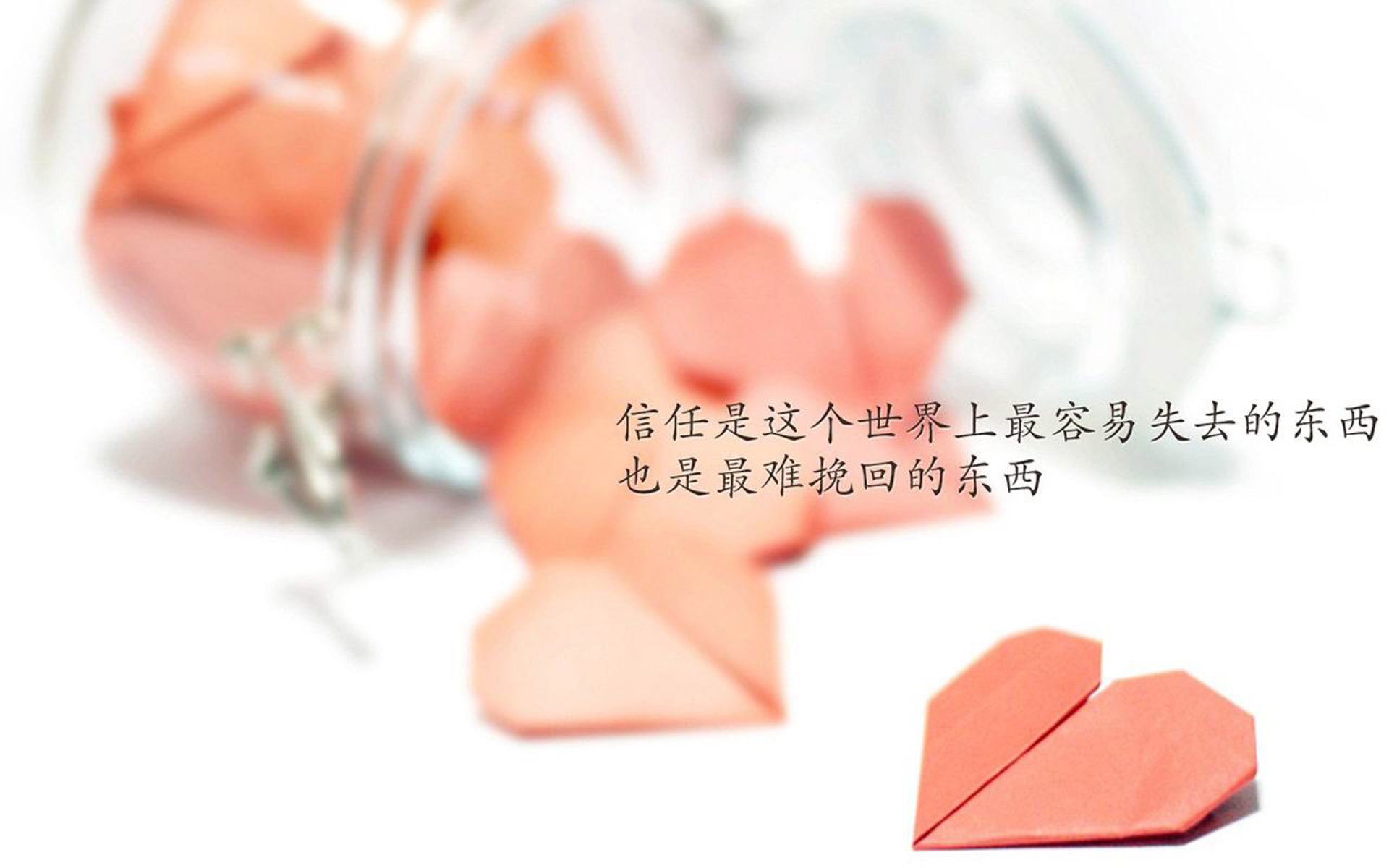 九游娱乐-NBA球员训练营课程介绍，nba球队训练营
