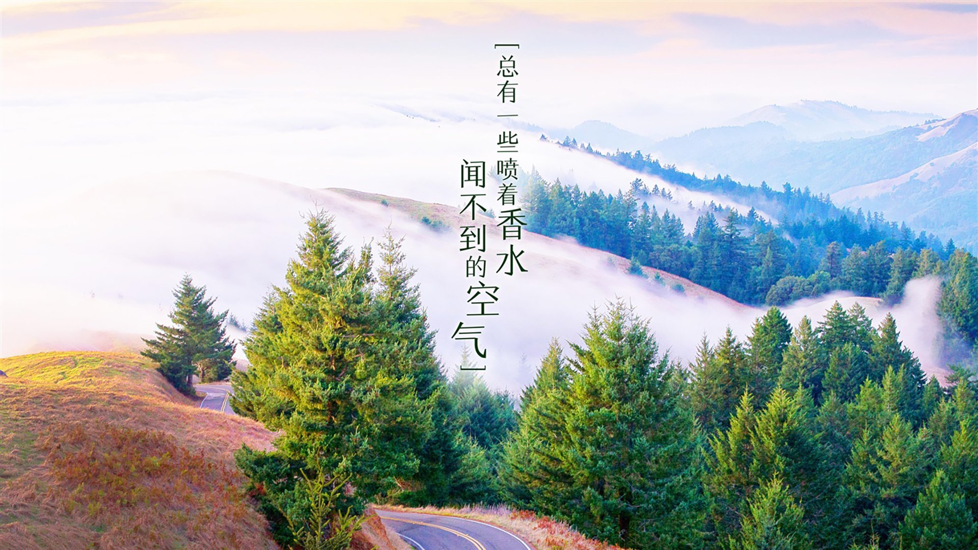 -篮球专项动作科学分析及训练方法创新，篮球动作技术分析