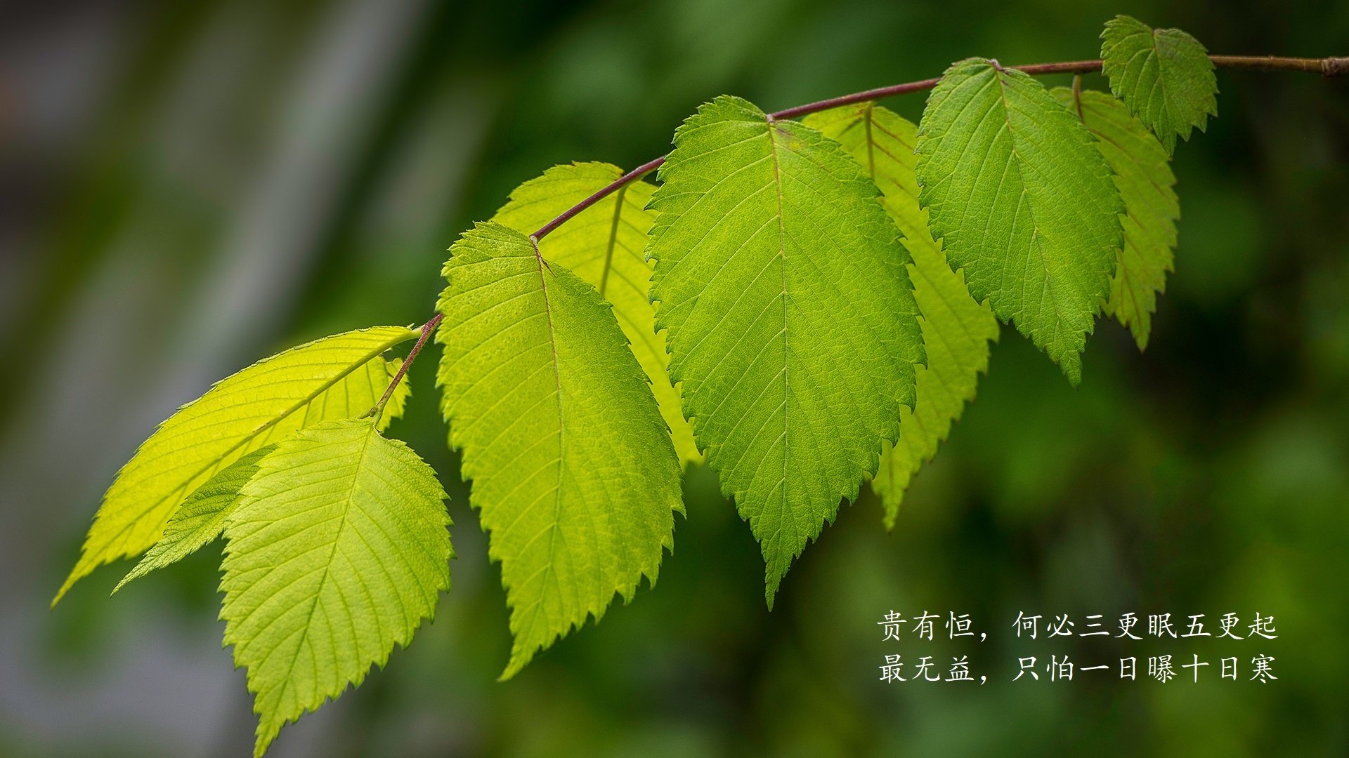 篮球运动员专项技能提升路径研究，篮球运动员专项训练