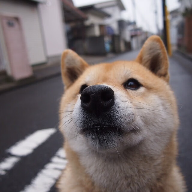 中国足球青少年足球赛事规则适应国际标准，中国青少年足球校园足球