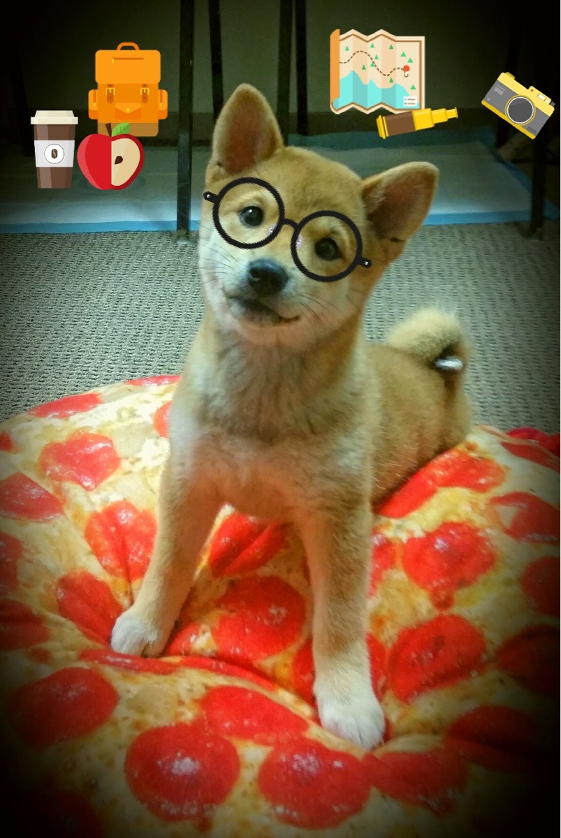 快船球员自制视频总结个人训练计划内容详实,快船球队球员