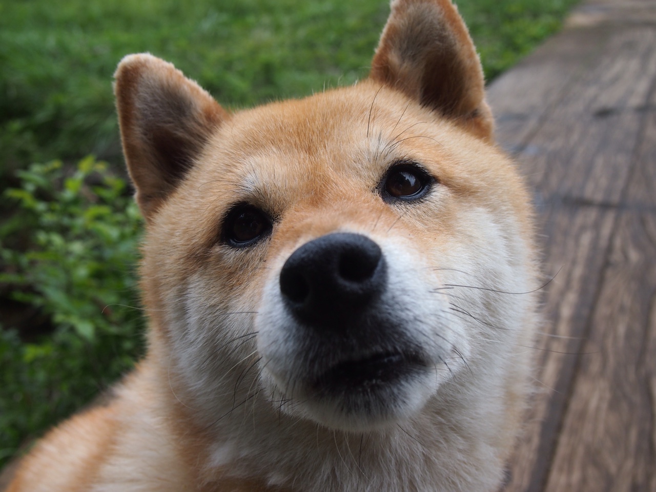 男子篮球注重球员个人技术提升促进全面发展,篮球运动员如何提高身体素质