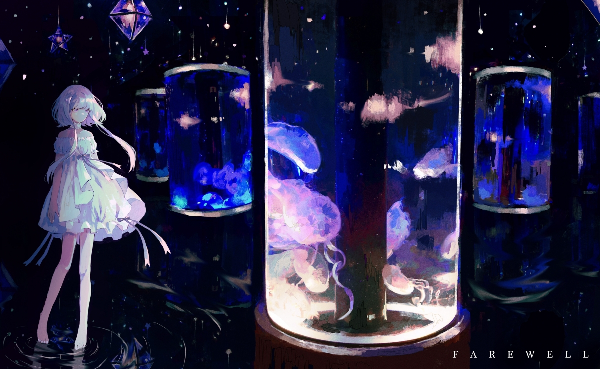 跳水动作流畅波兰赢得掌声，波兰女子跳高