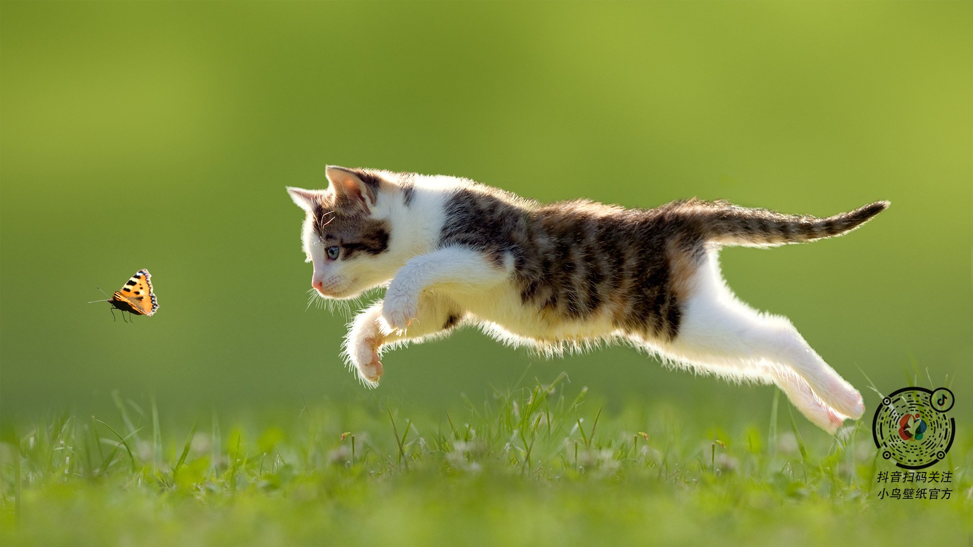 长期拉练积累经验年轻球员逐渐适应高强度比赛节奏