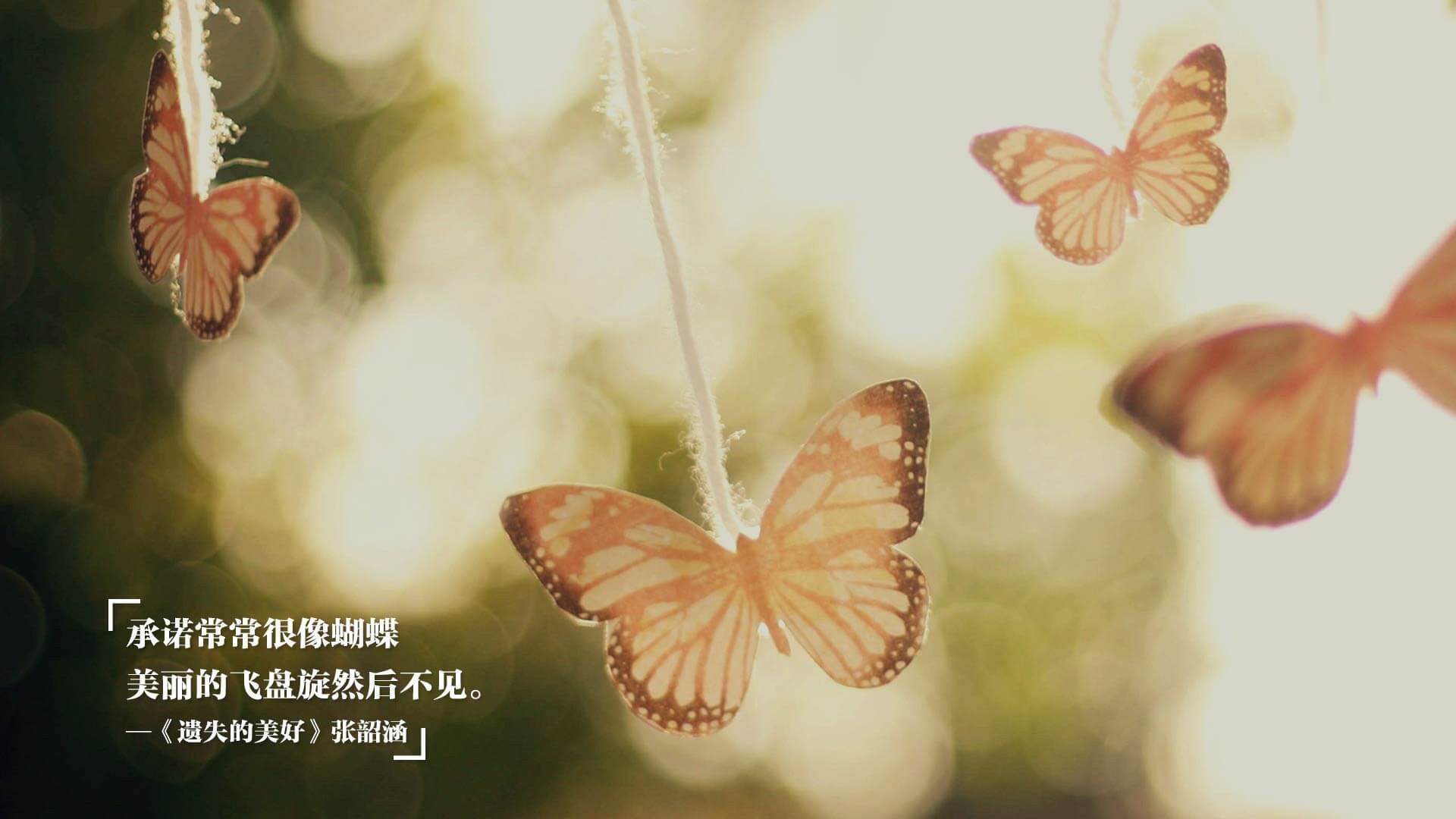 高校篮球联赛优化赛事安排增强跨省交流频率，省大学生篮球联赛