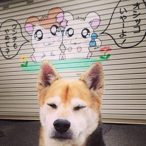 中国篮球运动员的形象管理现状，中国篮球运动员的形象管理现状如何