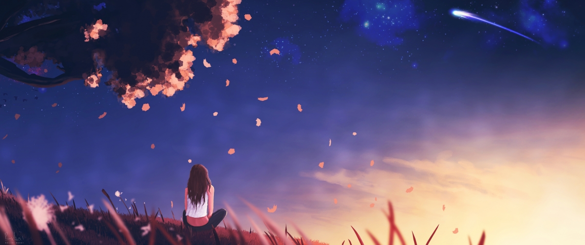 中国足球比赛解说影响力与传播形式演变,解说中国足球段子