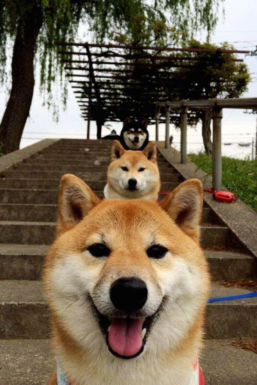 中国足球青训联盟推出多年龄段分层教学体系，中国足球青训梯队