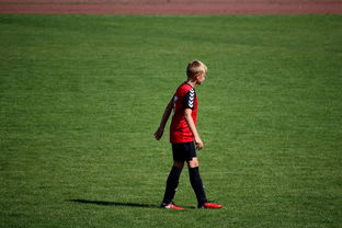 九游娱乐网页版-中国足球职业俱乐部球员转会市场活跃度提升，中国足球协会球员身份与转会管理规定